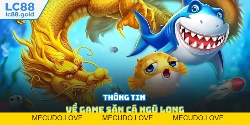 Bắn Cá Ngũ Long - Ưu Đãi Ngập Tràn, Tỷ Lệ Thắng Cao Bắn Cá Ngũ Long - Ưu Đãi Ngập Tràn, Tỷ Lệ Thắng Cao