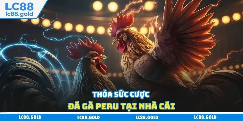 Đá Gà Cựa Dao - Cập Nhật Các Hình Thức Cược Phổ Biến Đá Gà Cựa Dao - Cập Nhật Các Hình Thức Cược Phổ Biến