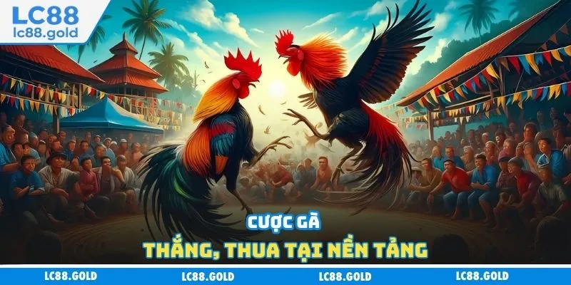 Đá Gà LC88 - Uy Tín Tuyệt Đối, Ưu Đãi Ngập Tràn Đá Gà LC88 - Uy Tín Tuyệt Đối, Ưu Đãi Ngập Tràn