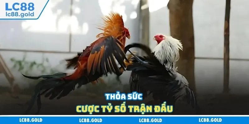 Đá Gà LC88 - Uy Tín Tuyệt Đối, Ưu Đãi Ngập Tràn Đá Gà LC88 - Uy Tín Tuyệt Đối, Ưu Đãi Ngập Tràn