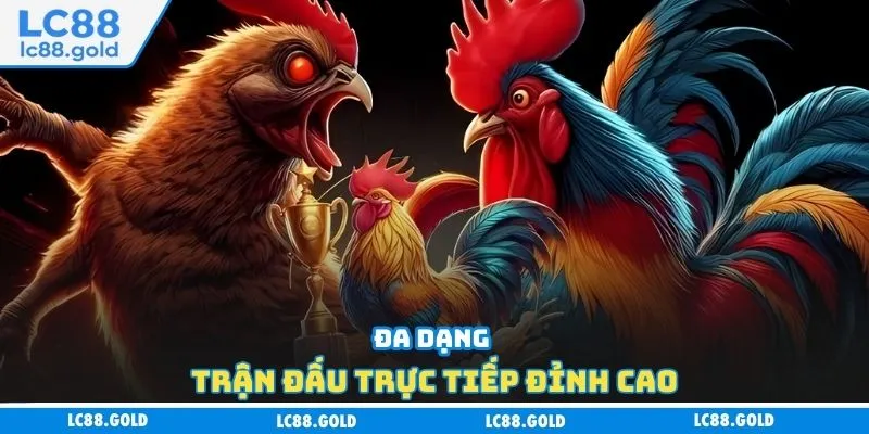 Đá Gà LC88 - Uy Tín Tuyệt Đối, Ưu Đãi Ngập Tràn Đá Gà LC88 - Uy Tín Tuyệt Đối, Ưu Đãi Ngập Tràn