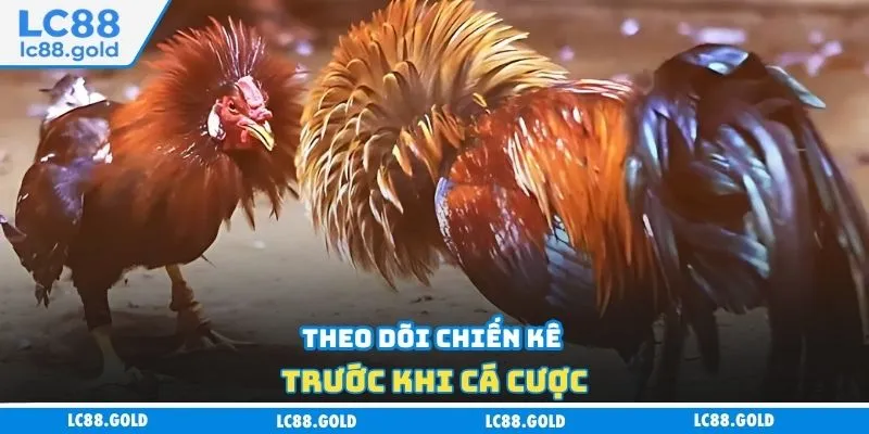 Đá Gà Trực Tiếp - Lựa Chọn Hàng Đầu Của Mọi Tân Thủ Đá Gà Trực Tiếp - Lựa Chọn Hàng Đầu Của Mọi Tân Thủ