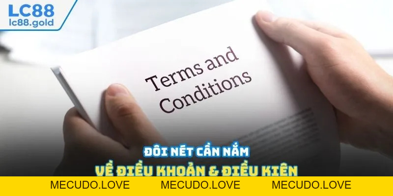 Điều Khoản Và Điều Kiện - Cập Nhật Quy Định Mới 2026 Điều Khoản Và Điều Kiện - Cập Nhật Quy Định Mới 2026
